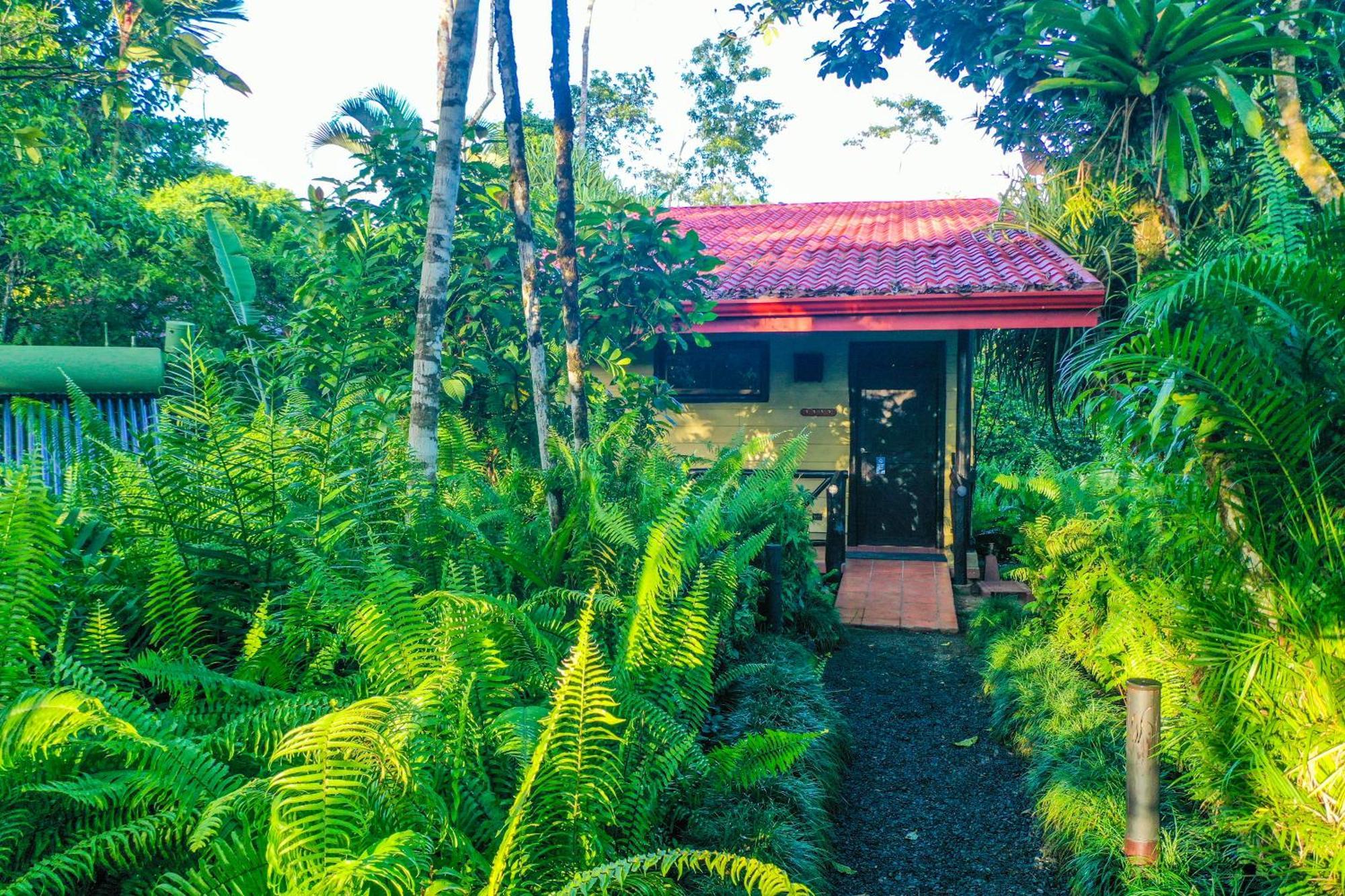 Maquenque Ecolodge Boca Tapada Room photo