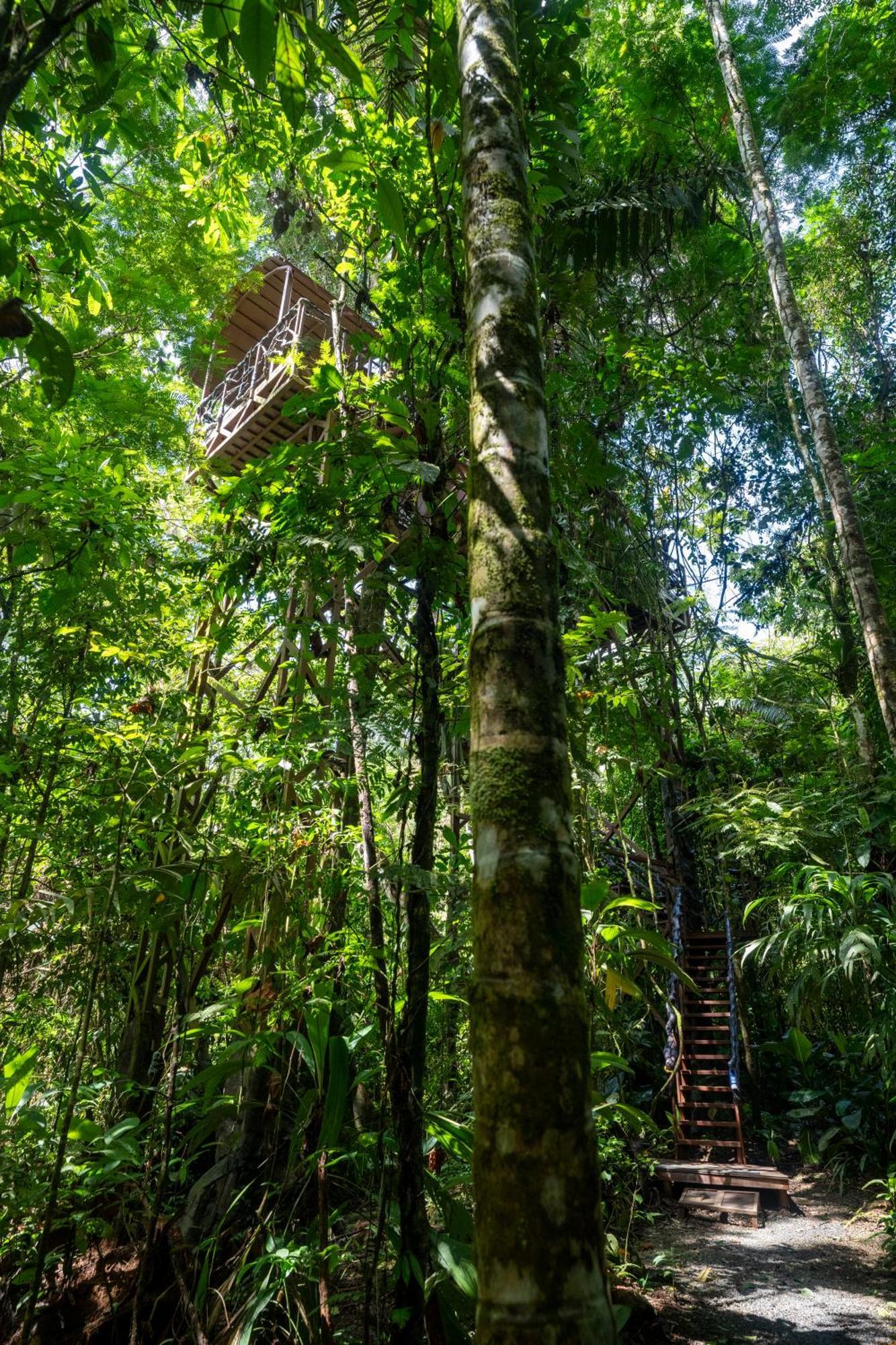 Maquenque Ecolodge Boca Tapada Exterior photo